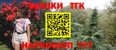 дмт Будённовск