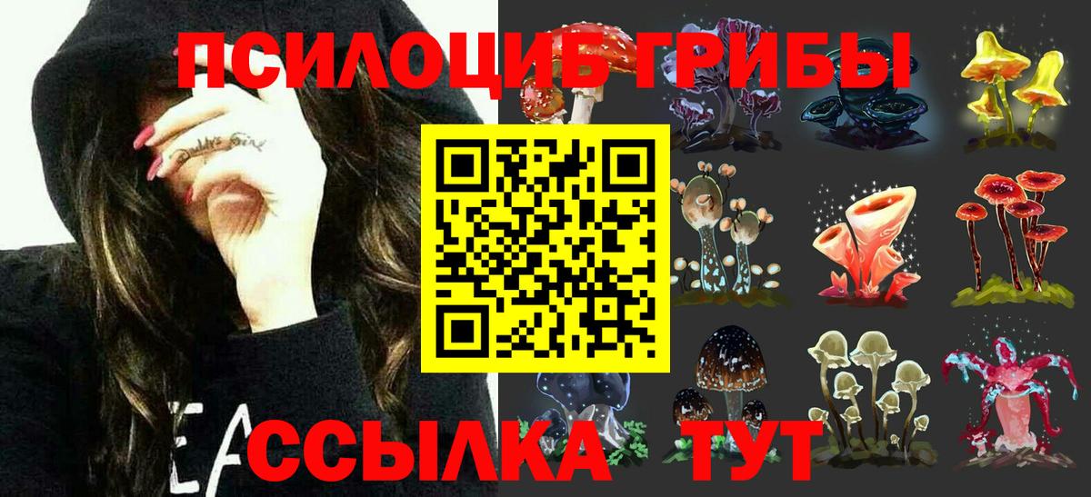 Галлюциногенные грибы Psilocybe  Вход с VPN  Старый Оскол  Псилоцибиновые грибы GOLDEN TEACHER 
